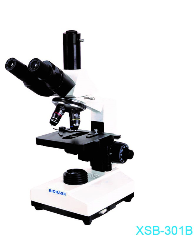 Биологийн энгийн микроскоп 