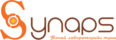 Synaps LLC
