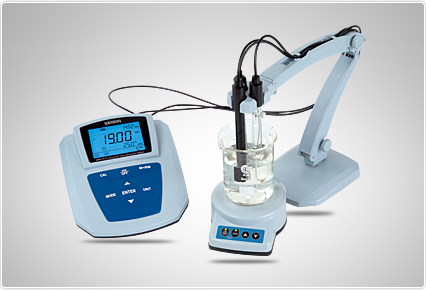 Ион хэмжигч